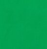 Bresser achtergrond doek afmeting 6x6m chromakey groen  