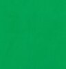 Falcon Eyes Achtergronddoek BCP-10 2.7x7.0m Chroma Groen