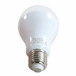 EDO LED Daglichtlamp 12W E27 5500K