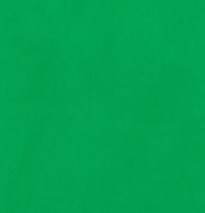 BRESSER Y-9 Achtergrond Doek 4x6m Chromakey Groen