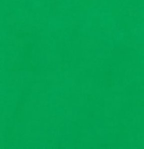 BRESSER Y-9 Achtergrond Doek 6x6m Chromakey Groen