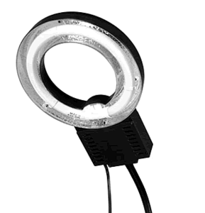 Ringlamp 22W fluorescentie 5400k daglicht 