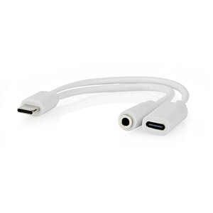 USB-C™ Adapter gelijktijdig opladen en muziek luisteren.