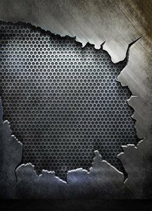 Achtergrond met print 1.8x2.5m BR-A4773