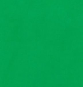 Studio Achtergronddoek 2.5x3.0m Green Screen Uitwasbaar