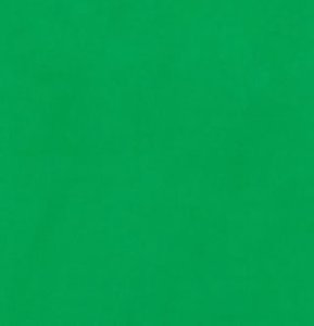 Studio Achtergrond Doek 3x6m chromakey groen uitwasbaar