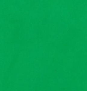 Studio Achtergrond Doek 2.7x7.0m Chroma Groen