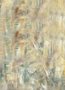 Bresser BR-I565 Achtergrond met print 1.8x2.5m