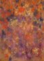 Bresser BR-I572 Achtergrond met print 1.8x2.5m