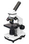 Levenhuk Rainbow 2L PLUS microscoop 64 - 640 Amethyst