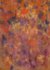 Bresser BR-I572 Achtergrond met print 1.8x2.5m