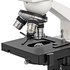 Bresser Microscoop Erudit ICD Mono 20x/40x