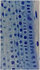 Bresser doorzicht Microscoop Erudit Basic Mono 40x-400x