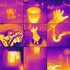 FLIR ONE PRO Warmtebeeldcamera iOS