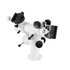 Omegon Twinmaster met statief
