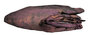 BRESSER BR-5117 Achtergronddoek 3x6m RUST-RED LIVED