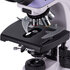 MAGUS Bio 230B biologische microscoop: het podium zonder X-as positioneringsrek verbetert het bedieningscomfort