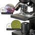 National Geographic Microscoop 40x-1280x met smartphone adapter