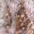 Outdoor Club Camouflagenet Brown Forest 0,9x1,8 m