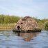 Buteo Photo Gear Camouflage Drijftent Floating Hide Grebe