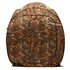 Stealth Gear Extreme Camouflagetent Bruin Bos