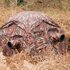 Buteo Photo Gear Aquila Mark III Camouflage Schuiltent Bruin