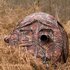 Buteo Photo Gear Aquila Mark III Camouflage Schuiltent Bruin