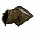 Buteo Photo Gear Snoot / Lensbescherming Groen voor Mark III