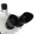 Byomic Stereo Microscoop BYO-ST341 LED