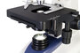 Levenhuk D95L 40-2000x LCD 7" Digitale Microscoop