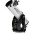 Celestron Spiegeltelescoop N 254/1200 (10") DOB met smartphone-app