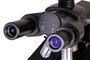 Levenhuk D870T digitale trinoculaire microscoop: oculairen gemonteerd op de microscoop