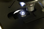 Levenhuk 700M Monoculaire Microscoop: Abbe condensor met iris diafragma